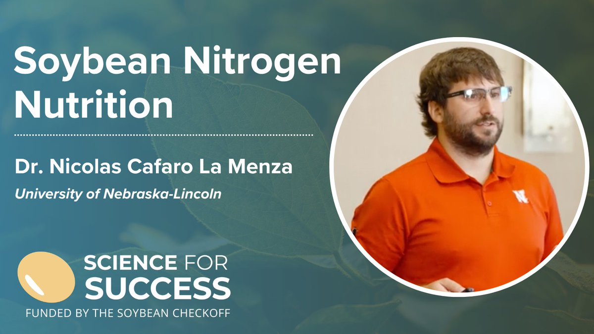SoybeanScience1's tweet photo. Understanding soybean nitrogen (N) nutrition is key to producing high-yielding soybean crops. In this video @ncafarolm from the University of Nebraska explains soybean N requirements and how to overcome a nitrogen limitation. Learn more at:  https://t.co/qQTgZhIEIZ #SoyCheckoff https://t.co/gKYXcDm5KE