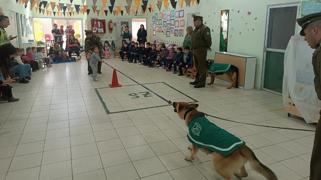 Carab_Maule's tweet photo. Hasta la localidad de #Maitenes, llegaron nuestros Carabineros de la Subcomisaría #CristiánMartínezBadilla de #LINARES junto a la Patrulla Canina de la I.Policial; los alumnos del jardín y Escuela #Maitenes,disfrutaron la presentación.
#OrdenyPatria
#CarabinerosDeTodos https://t.co/DJ34WSsUTh