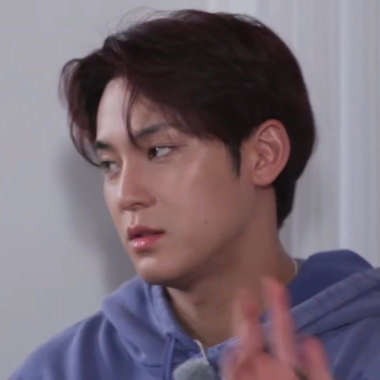 mingyu tweet media