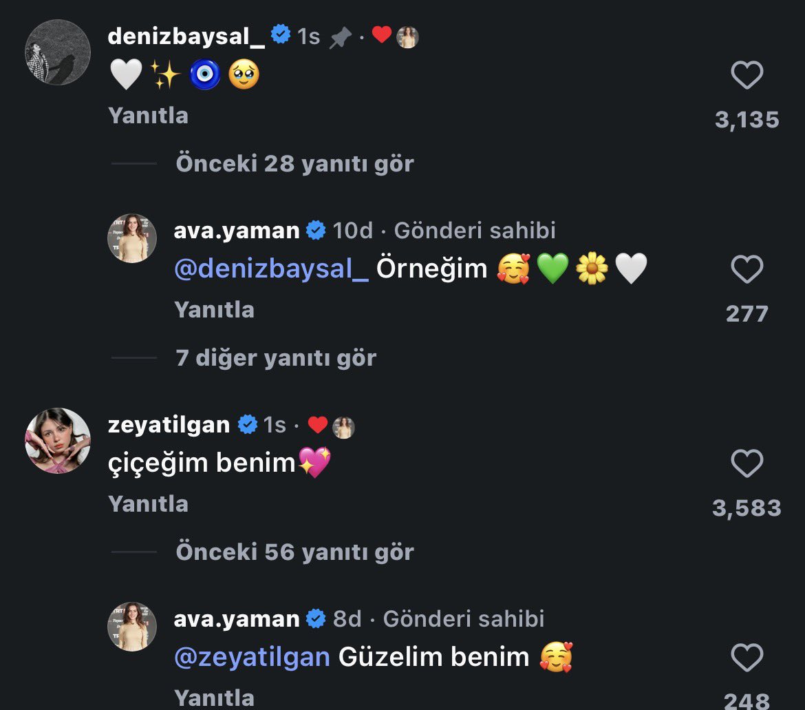 arzu anarat tweet media