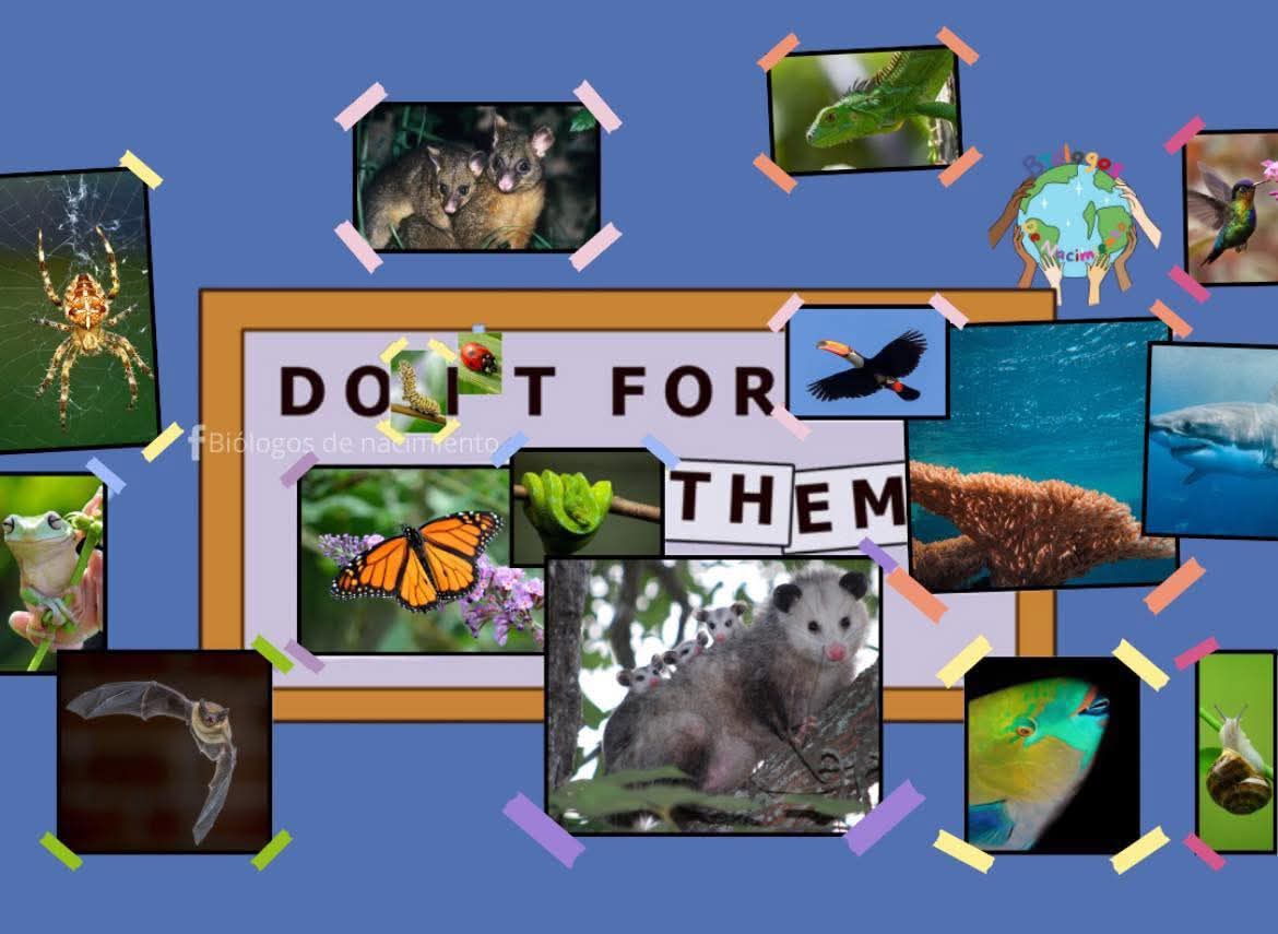 Tanroth tweet media