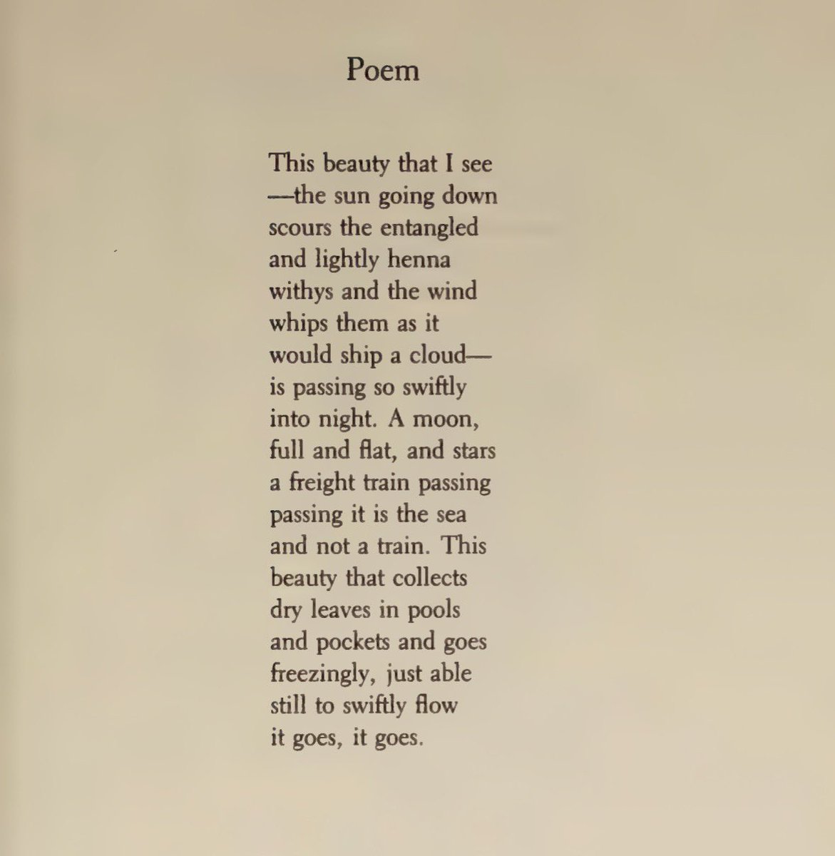 absenceshell's tweet photo. James Schuyler. Posting on the wrong side of the diurnal path, but will be wonderful to read again during the golden hour https://t.co/X9ZPQgmqic