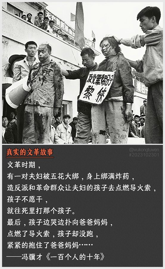 清净雪玉 tweet media