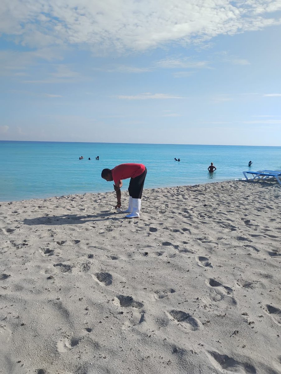 CManagerSFCP's tweet photo. Limpiamos la playa por un #MedioAmbiente sano y un #TurismoSeguro desde los departamentos Comercial y Dirección del hotel #StarfishCuatroPalmas 
@matanzas_citma
@MinturVaradero
@DaniloSFCP @carrion_caridad https://t.co/71I386Up9q