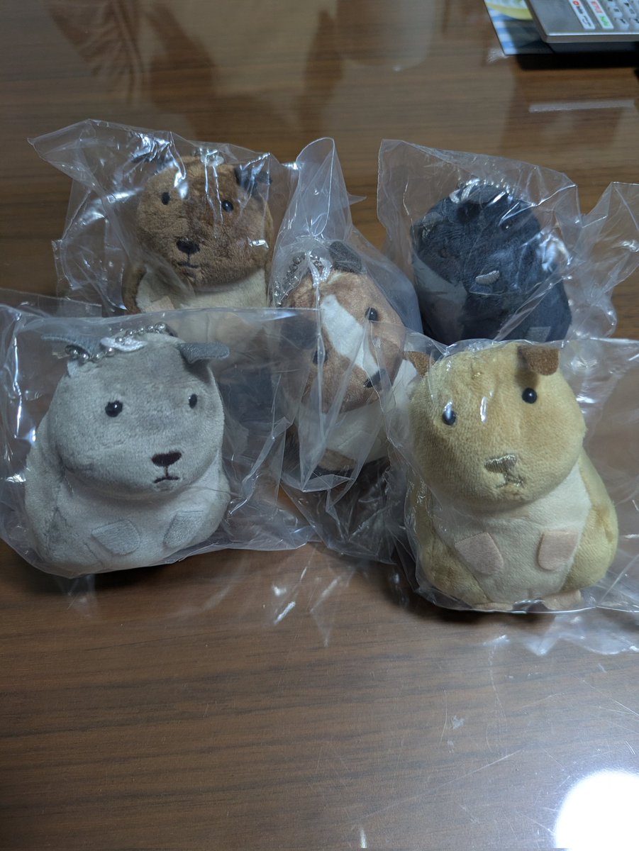 sparkaoki's tweet photo. デグーぬいぐるみゲットできた♪
ブルーの子がどうしても欲しくて、気がつけば全種類コンプリート。

#デグー
＃degu
＃ぬいぐるみ
＃カプセルトイ
＃ガチャ
＃マルククラウン https://t.co/bFfNUHEOxf
