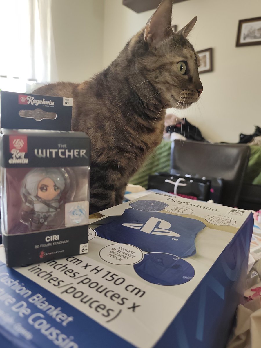 EnnoTheOne's tweet photo. Ciri siedzi z Ciri 👀 https://t.co/aRZ0F56N6K