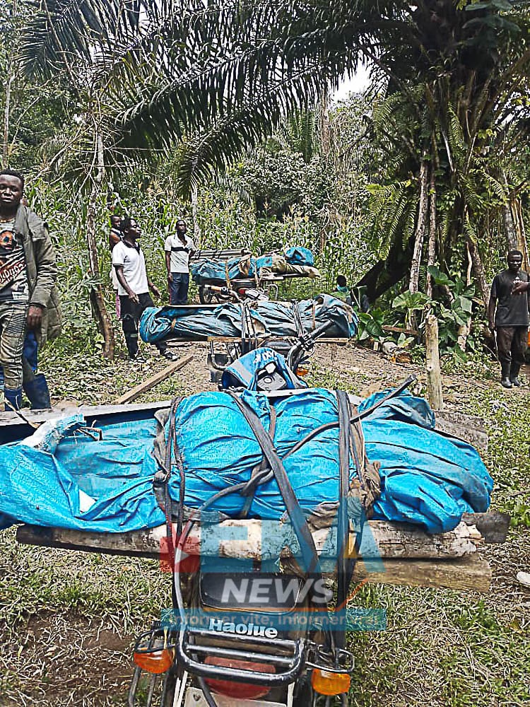 GeorgesKisando's tweet photo. RDC: Des corps sans vie ont été ramenés de Pangolo, près de Mantumbi, après une nouvelle attaque attribuée aux rebelles ADF dans le territoire de Beni. 

Cette nouvelle tragédie relance l’inquiétude des populations de Beni et de Mambasa, régulièrement frappées par les violences des groupes armés.