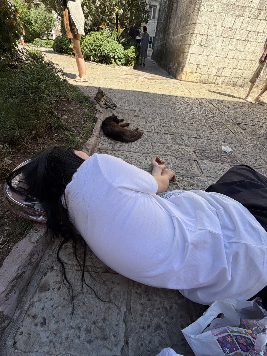 thevxst's tweet photo. 在黑山和猫睡觉 https://t.co/yYP5QoBWln
