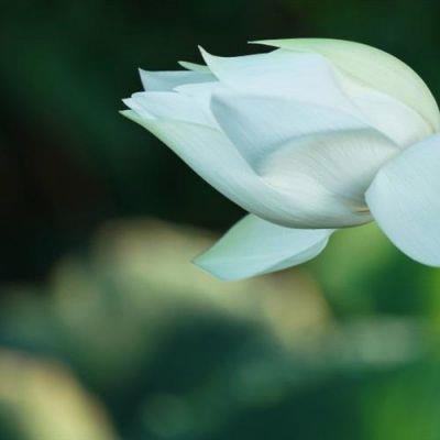 redteammilsim's tweet photo. the Silk Road left a profound impact in Central Asia. Through trade routes, it influenced scientific discoveries. It laid foundations for today’s progress. History offers lessons for today’s challenges. 💦 https://t.co/FENSPJpP2j