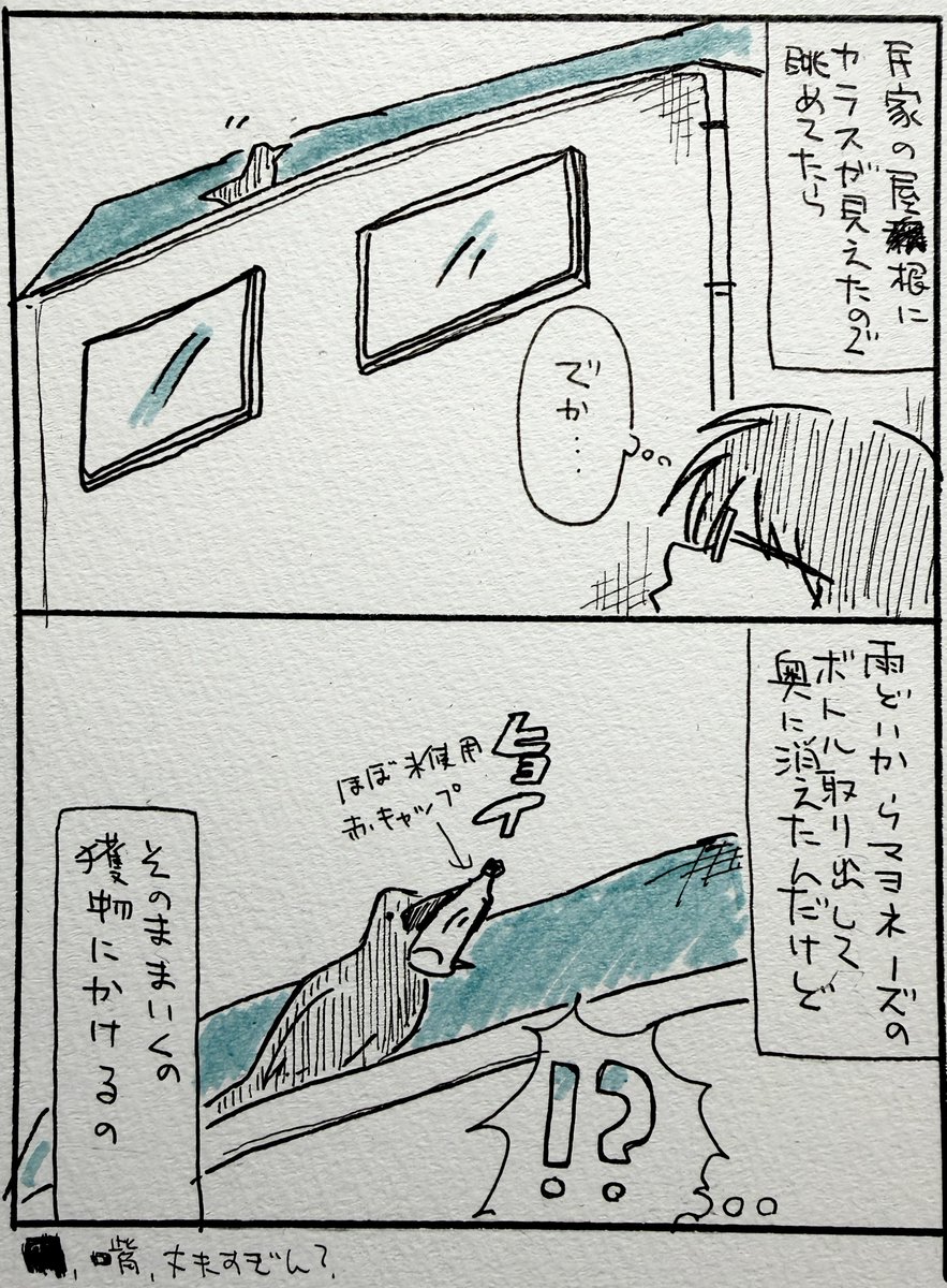 2コマ漫画 エッセイ漫画 カラス何でも持っていくよね 