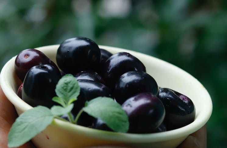 riddhipa14591's tweet photo. Jamun (Java Plum)season is here and this purple superfruit does more than just taste amazing 💜🌿
Packed with Vitamin c, antioxidants & fiber, Jamun helps with: ✅ Blood sugar control
✅ Better digestion
✅ Stronger immunity
✅ Heart health
✅ Healthy glowing skin
#JavaPlum https://t.co/0WPrIfjmbL