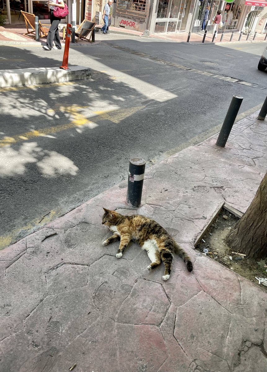 bezpyatkin's tweet photo. Прилетел в Стамбул по причине Ni**as in Paris, и этот придурок все еще жив!

И вообще все тут живет https://t.co/s1Il4H36h6