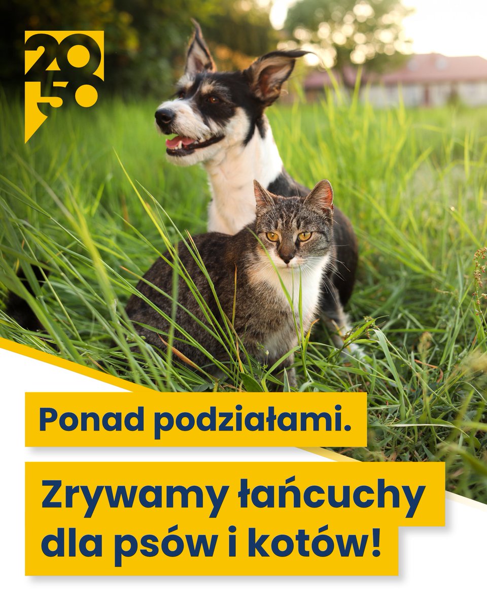 PL_2050's tweet photo. Psy i koty wygrały! ✅

Przegrali ci, którzy nawet w sprawie ograniczenia cierpienia zwierząt potrafili zagłosować przeciw.
Konfederacja i Braunowcy znowu w roli politycznych kontestatorów wszystkiego.

#WyrazisteCentrum https://t.co/J2gGKY1Vho