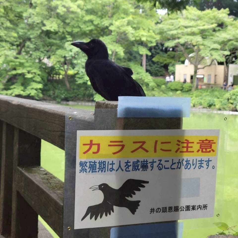 kiteokachimachi's tweet photo. 明日、30日（土）20時〜 CALLAS TOKYOにて

POETRY CALLAS開催！魂の#20 https://t.co/qeFfHmmR7Q