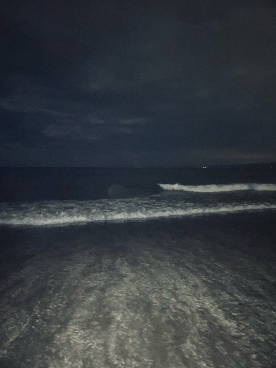 17kumin's tweet photo. 青く光る海！幻想的な光は儚かった😭けど心に残る素敵な現象でした。材木座海岸にて撮影📷 https://t.co/nf9UGaSBuP