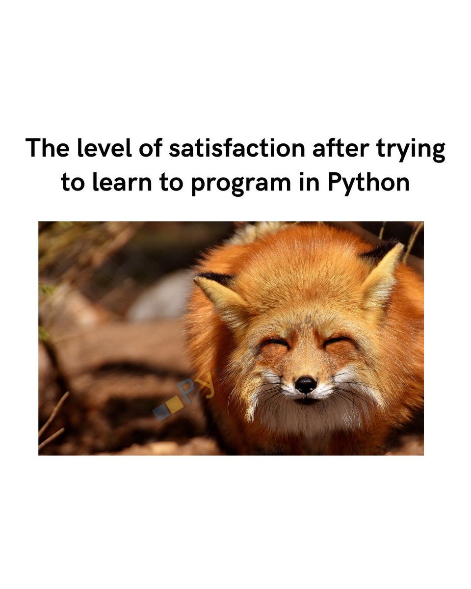pybeginners_'s tweet photo. So, how's your learning journey going?  #python #pybeginners #code https://t.co/grT3iWpuBP