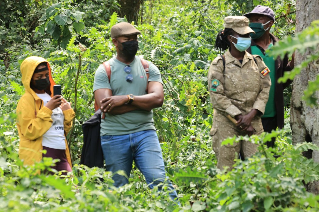 UgandaMFA's tweet photo. 🇺🇬🇪🇹With only 2 days left on their Familiarization Trip, the Ethiopian delegation today entered the legendary Bwindi Impenetrable National Park a UNESCO World Heritage Site safeguarding nearly half of the world’s remaining mountain gorillas. Beyond tourism, Bwindi reflects Uganda’s Economic & Commercial Diplomacy (ECD) strategy where conservation, community livelihoods, climate action and regional investment converge into one sustainable growth model. #ExploreUganda #AfricanDiplomacy #VisitUganda #POATE2026 #PearlOfAfrica