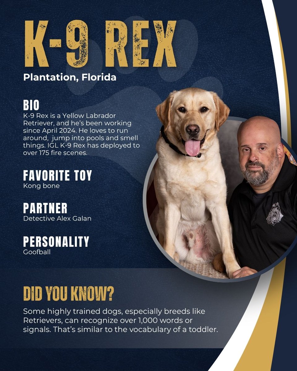 FLDFS's tweet photo. Meet K-9 Rex! 🐾 This week’s spotlight features another incredible working dog serving communities across Florida. We’re proud to recognize the dedication and important role he plays each day in keeping Floridians safe. https://t.co/P7qESUjVCe