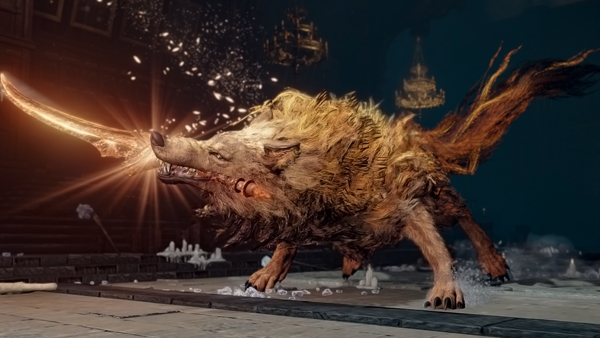 CtrlAltDella's tweet photo. O bicho de vocês também tem apelidos totalmente nada a ver? A gente chama a Tina de "rataguinho" por causa do "Red Wolf of Radagon" de Elden Ring. https://t.co/psSLzAccIU