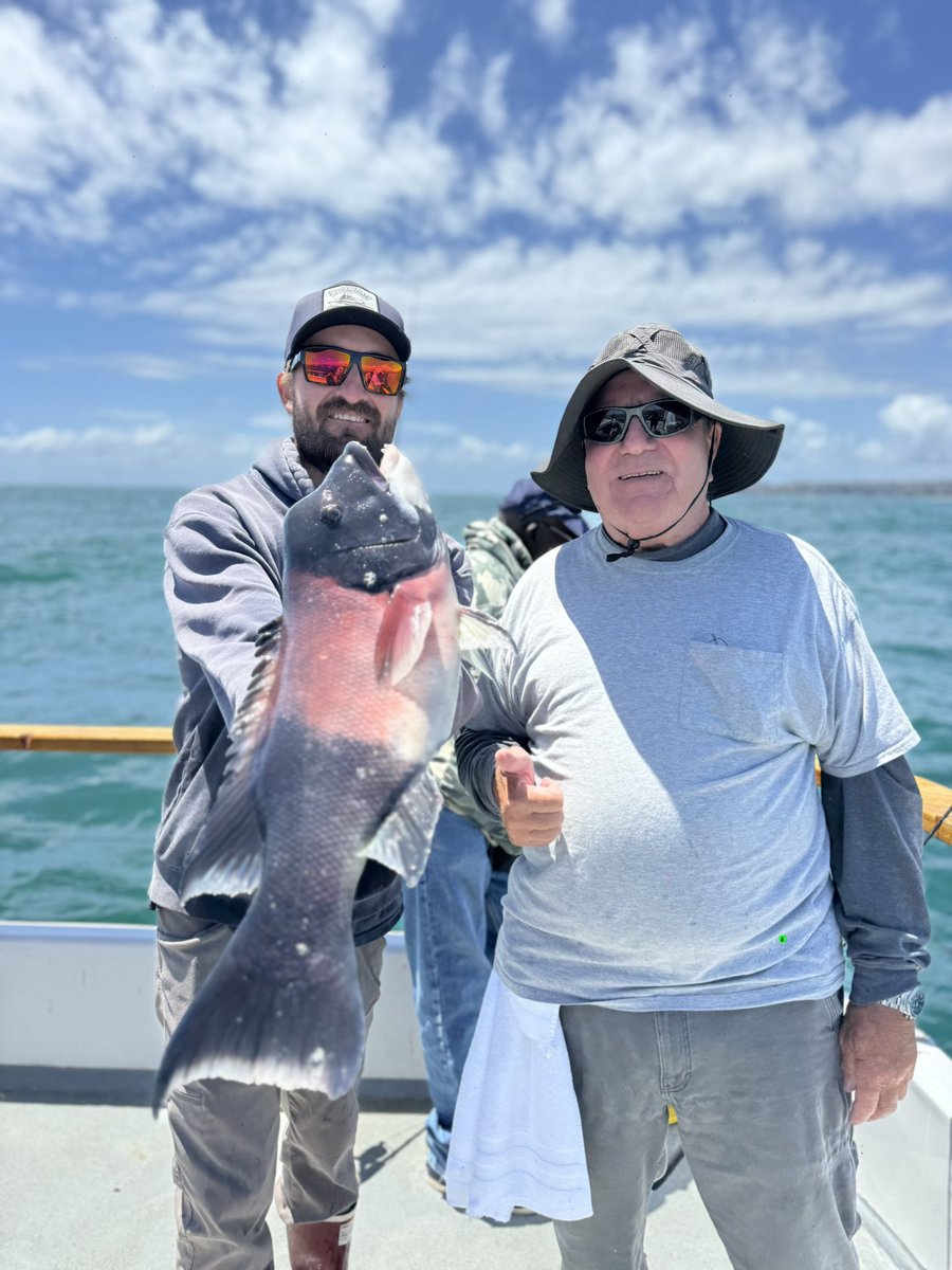 Fishdanawharf's tweet photo. The sheephead are biting here in Dana Point , this fish is very good eating ! Join  us. #fishdanawharf https://t.co/5txE6BfYM8