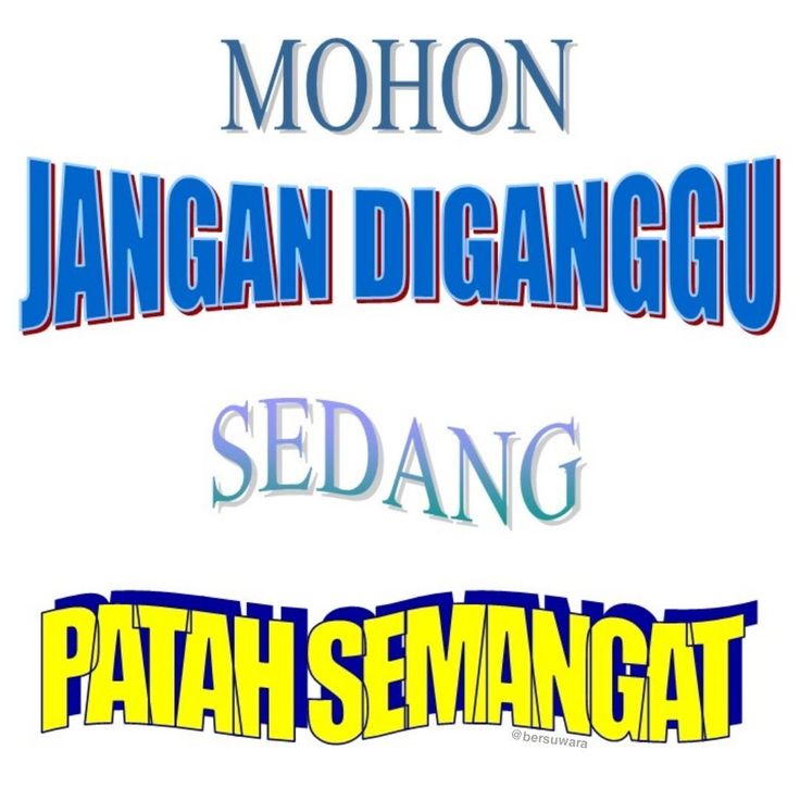 scekarr²⁹ tweet media