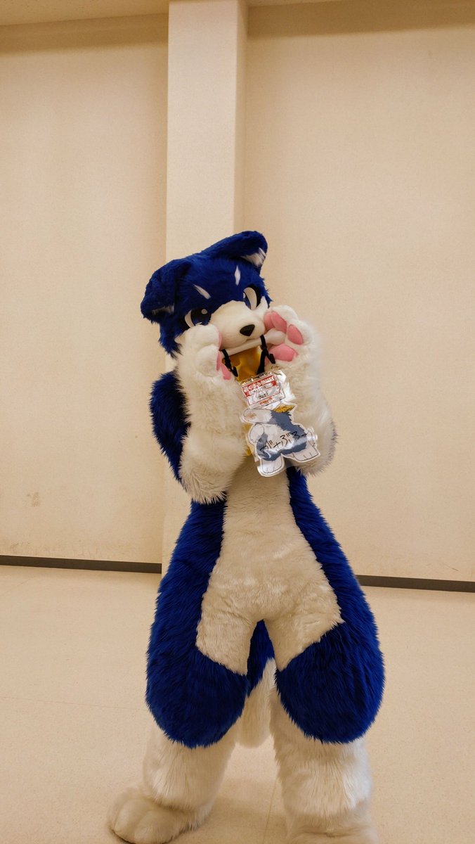 bigicywolf's tweet photo. 去年のケモけっとのがさぶろー！

#みんなが一番最初に撮った着ぐるみの写真が見たい https://t.co/H3cgiicolU