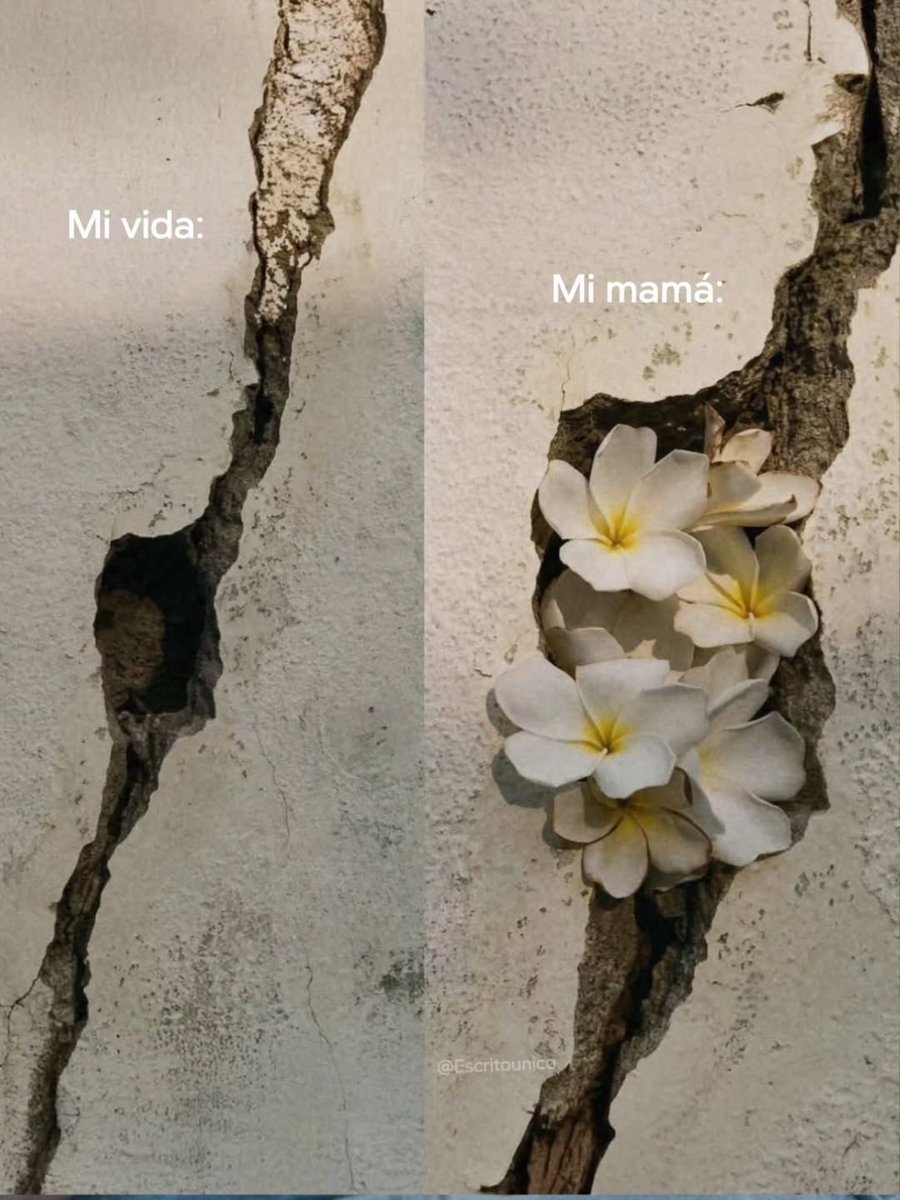 En Júpiter tweet media