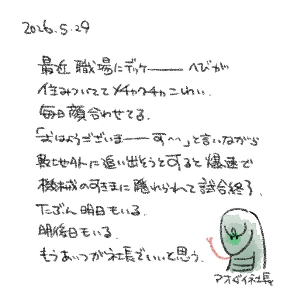 ぽこ tweet media