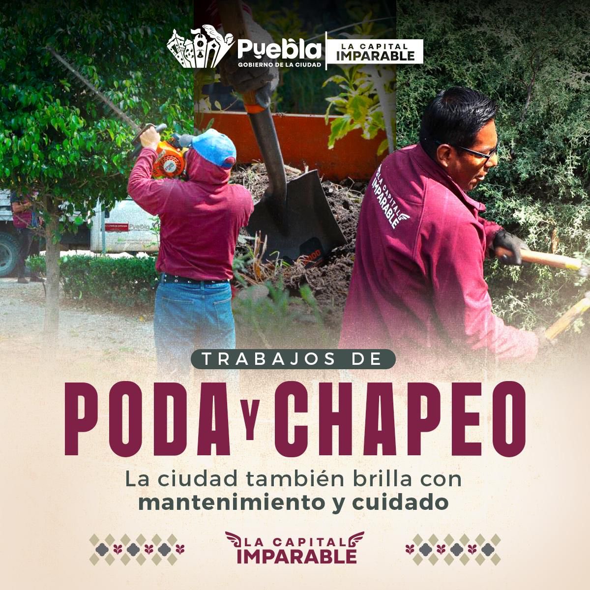 Puebla Gobierno de la Ciudad tweet media