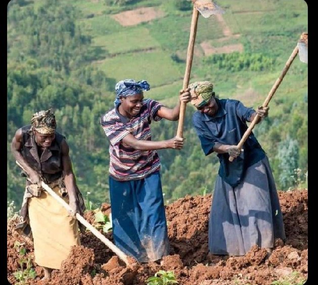 _Chokeman's tweet photo. “Pia mimi wangu chakula ikiiva wanatoka nje kwanza alafu wanarudi kukula macho zikiwa red”😭😂😂 https://t.co/w2A8o7FWVn
