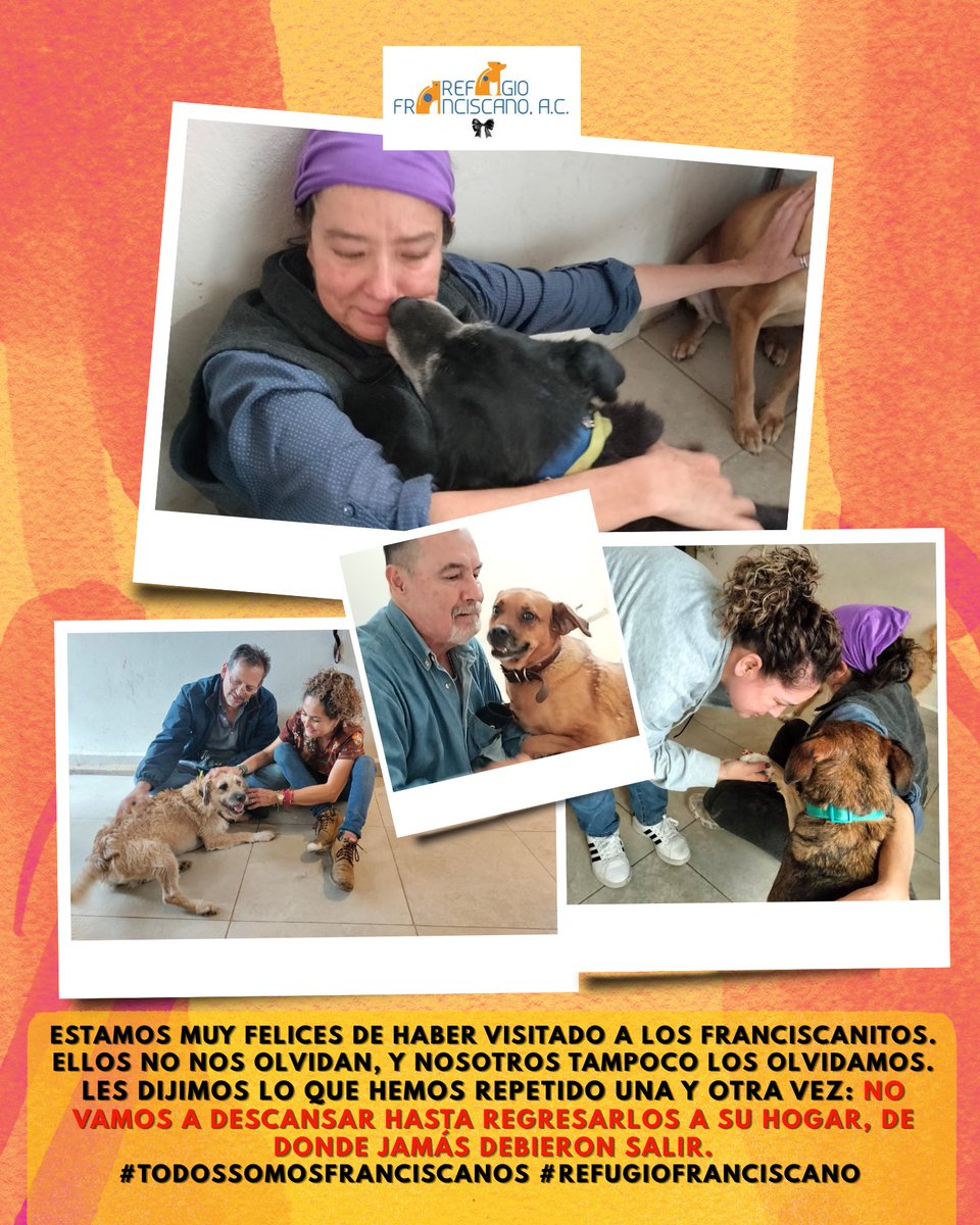 Ref_Franciscano's tweet photo. Estamos muy felices de haber visitado a los franciscanitos.
Ellos no nos olvidan, y nosotros tampoco los olvidamos.

Les dijimos lo que hemos repetido una y otra vez: no vamos a descansar hasta regresarlos a su hogar, de donde jamás debieron salir.

#TodosSomosFranciscanos #refugiofranciscano