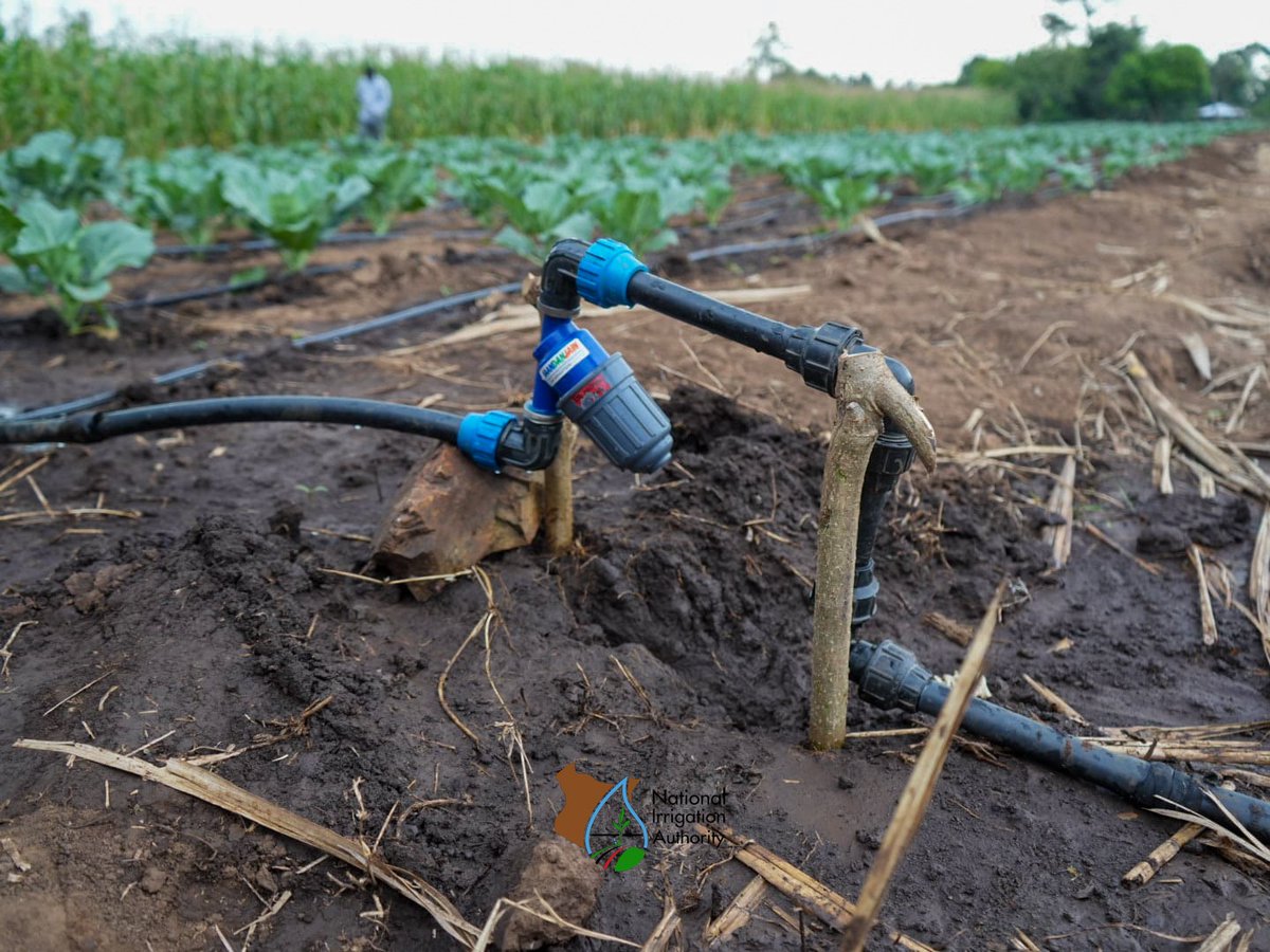 Irrigation_Auth's tweet photo. In prayer and thanks giving day at Kapsigilai Girls Senior School in Chemilil/ Chemase ward of Tinderet Consistuency, Nandi County.
The school falls within the Chemase Irrigation Project area where the CEO conducted compressive site inspection and community engagement yesterday. https://t.co/yfBopyC0IQ