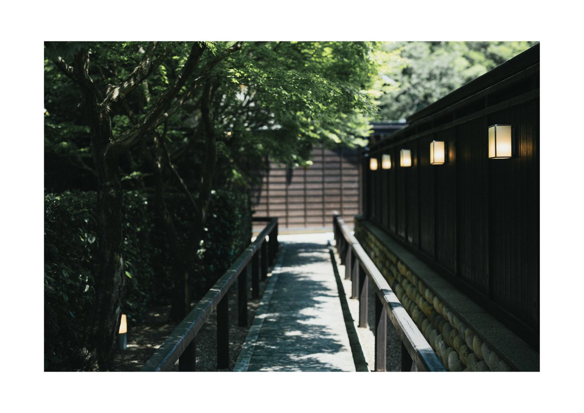 mzn145's tweet photo. https://t.co/XNIm2QCfDv