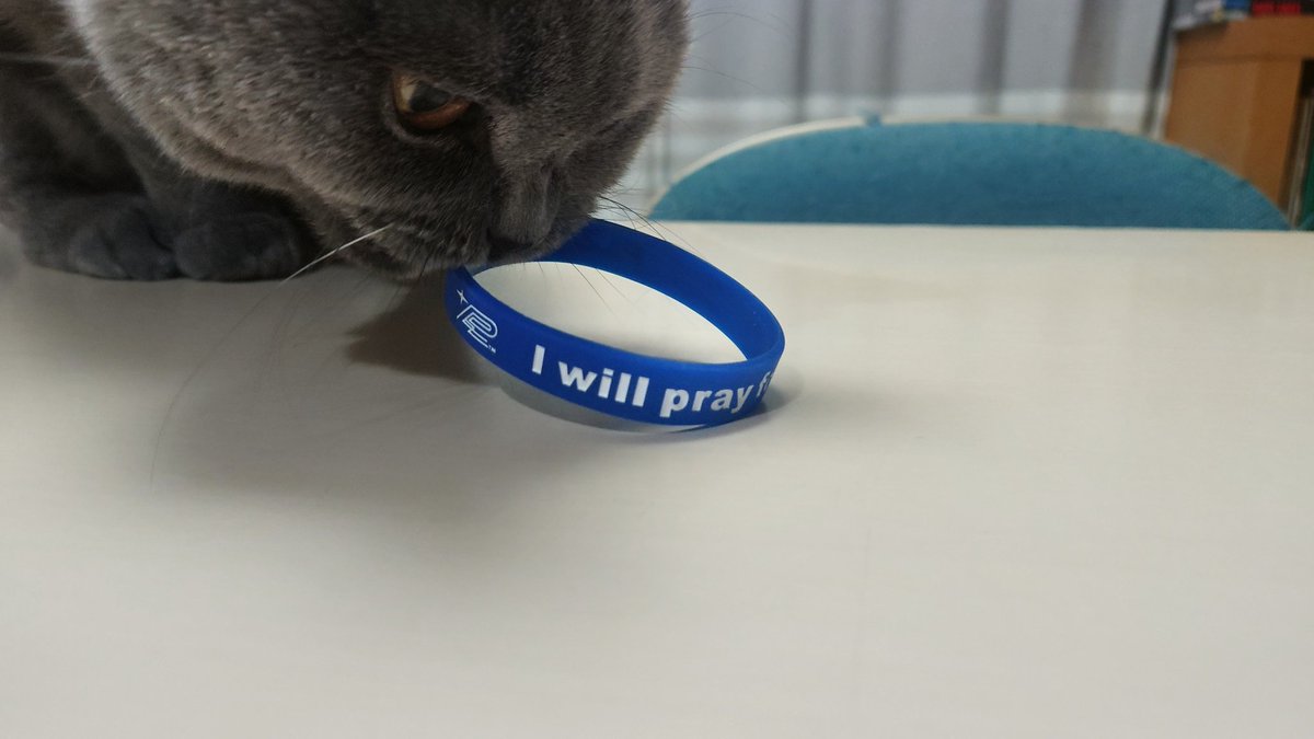 arizzly's tweet photo. I will pray for you. PLZ pray for me.のシリコンバンドもらった。裏には「ニーバの祈り（Serenity Prayer）」が、目立たないように刻印されてたよ。
『神よ、変えられないものを受け入れる冷静さを、変えられるものを変える勇気を、そして、その二つの違いを見分ける知恵を、私にお与えください。』 https://t.co/OfYRVqw9hE