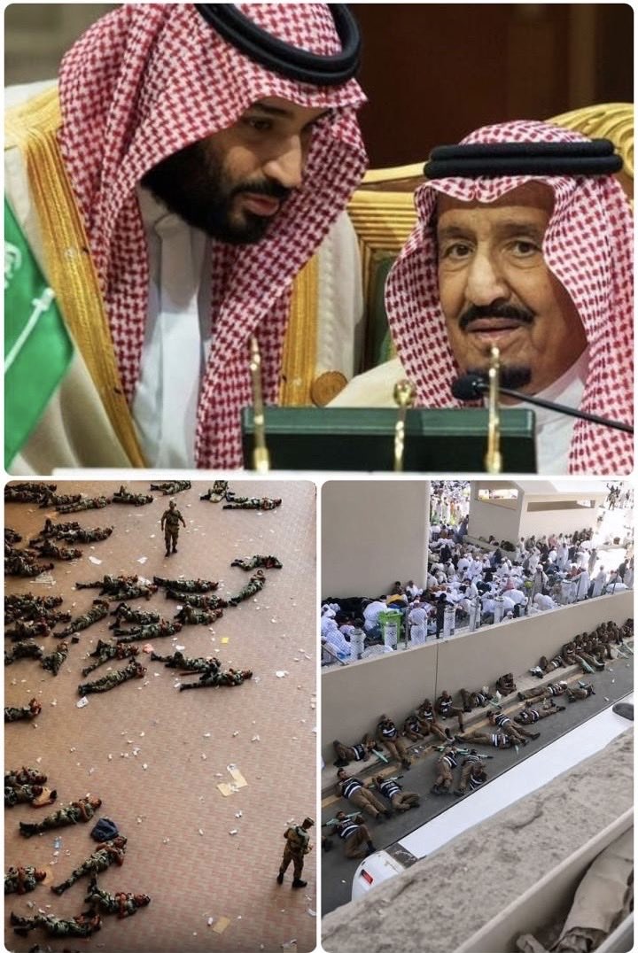 T2_A_B's tweet photo. حشود مليونية ، احترافية في التنظيم ، خدمات استثنائية
كيف لا ينجح وخادم الحرمين الشريفين هو المشرف العام وسمو ولي العهد يتابع ويتفقد

كيف لا ينجح وهناك رجال صدقو وبذلو نفسهم لخدمة ضيوف الرحمن ، اللهم لك الحمد على التمام

اللهم احفظ وطنا وقيادته ورجال آمنه وشعبه🇸🇦
#نجاح_موسم_الحج https://t.co/YGLlHwwJ8w