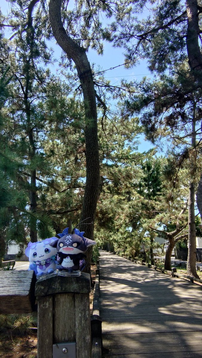 pineame201's tweet photo. #にじぱぺっとが見られるタグ 

ヘルエスt…静岡行ってきました https://t.co/XQVFQMcsIw
