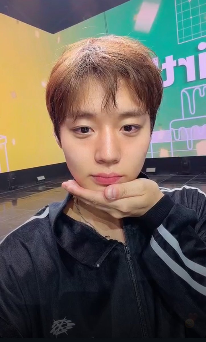 랑이 tweet media