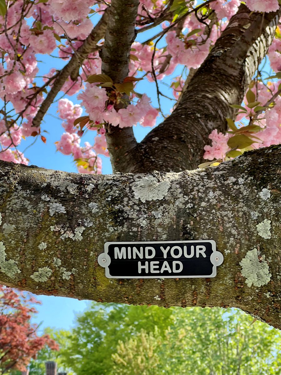 SmithSolve's tweet photo. Research shows that mental health challenges are anything but rare within the rare disease community.

According to @rarepatientvoic, 82% of patients &amp; caregivers experience frequent emotional distress, but access to mental health support continues to fall short. https://t.co/pqZG4GeDgO