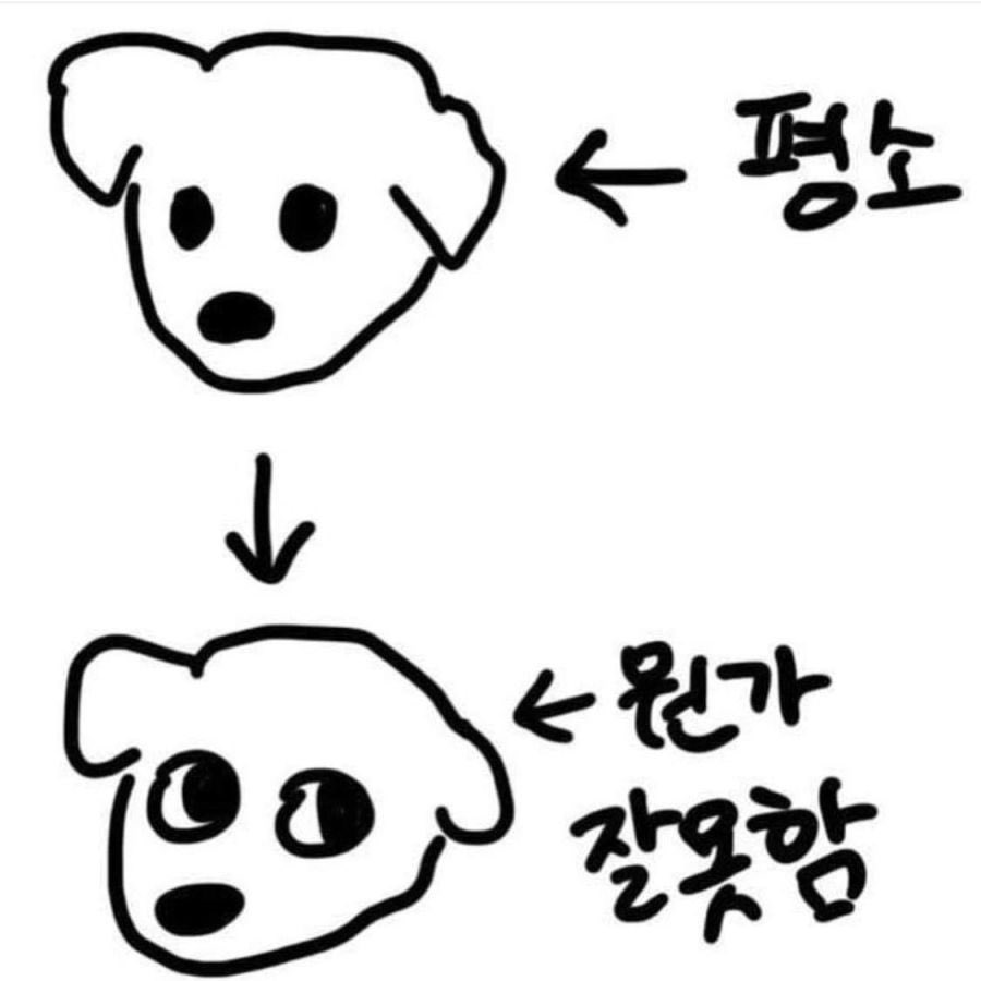읏쇼 tweet media