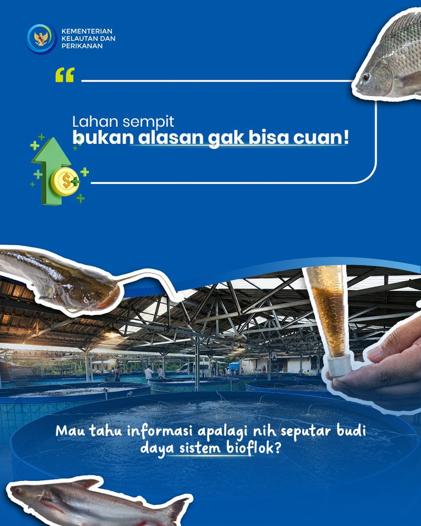 kkpgoid's tweet photo. Yuk, intip detail dan keunggulan bioflok di slide di atas. Kira-kira, apa lagi nih yang pengen kamu tahu seputar sistem bioflok? Komen yaa 😉

#BudidayaBerkelanjutan #BudidayaTematik #BudidayaBioflok https://t.co/zYjSe0ulXk