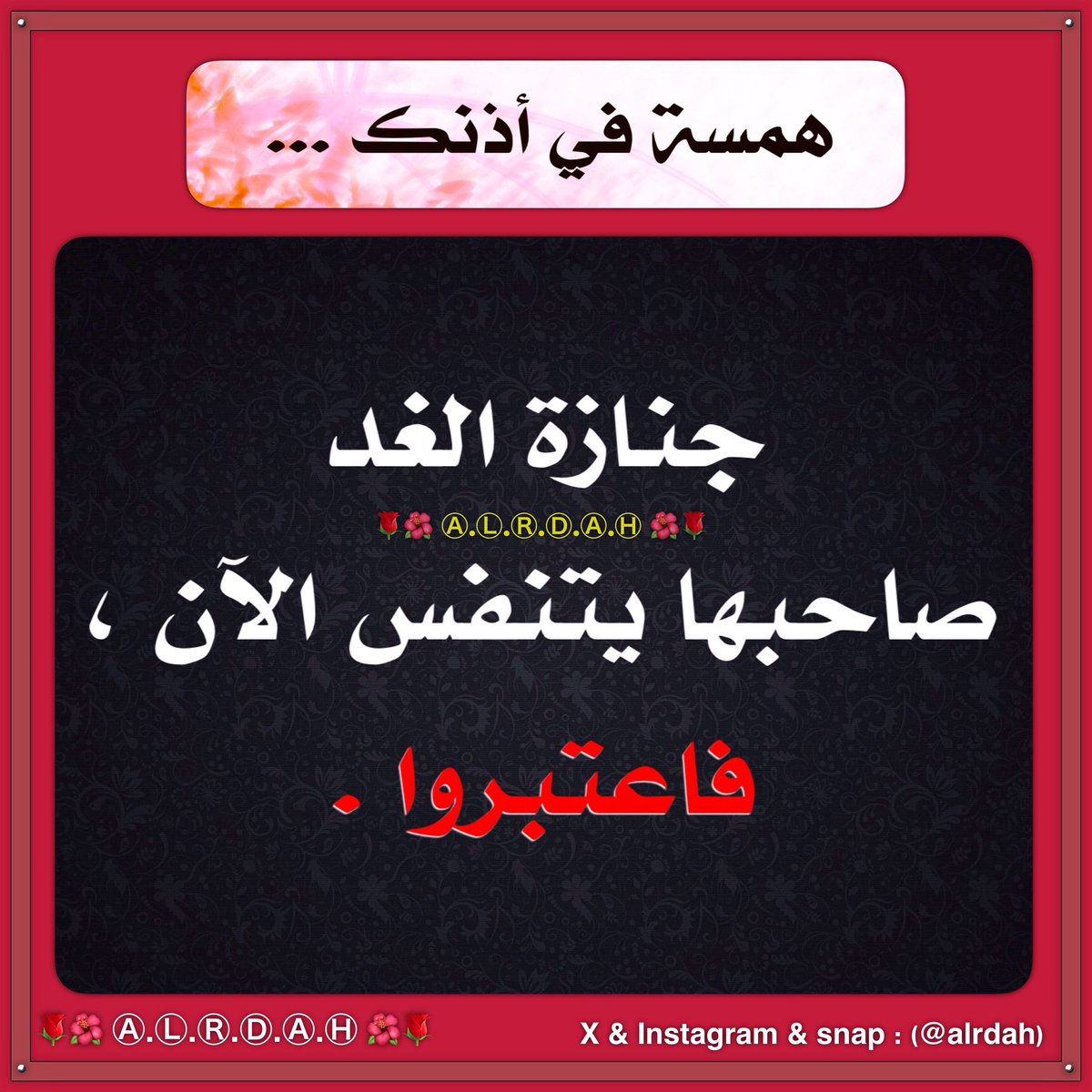 alrdah's tweet photo. #همسة_في_أذنكـ @alrdah https://t.co/OdrdutsDOG