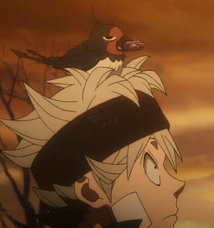 alpermisr's tweet photo. Hmm
#blackclover https://t.co/TGV9daddnP