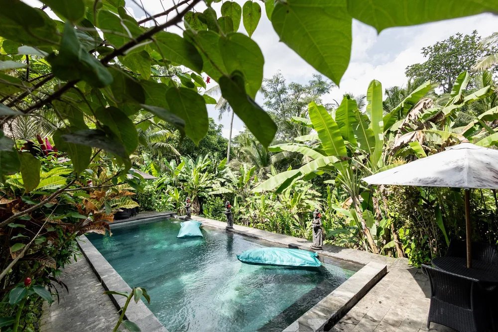 zrkrlc's tweet photo. 🪷 seacamp 2026 🪷

(yes we're back, baby!!)

- 31 oct (sat) to 03 nov (tue) i.e. 4☀️3🌙
- ubud, bali means: massages, bird watching, lots of leafy greens
- regular ticket: 335 USD 💸

pls answer interest form so we can lock down the place :) https://t.co/DtPnvAZi2G https://t.co/c2Z5h6SsjT