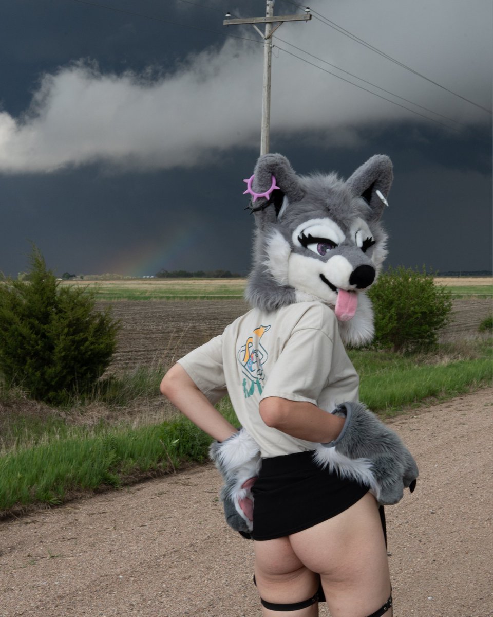 JessKitty314's tweet photo. This skirt may be a lil short x3 #fursuitfriday https://t.co/9BkLr2bAfD