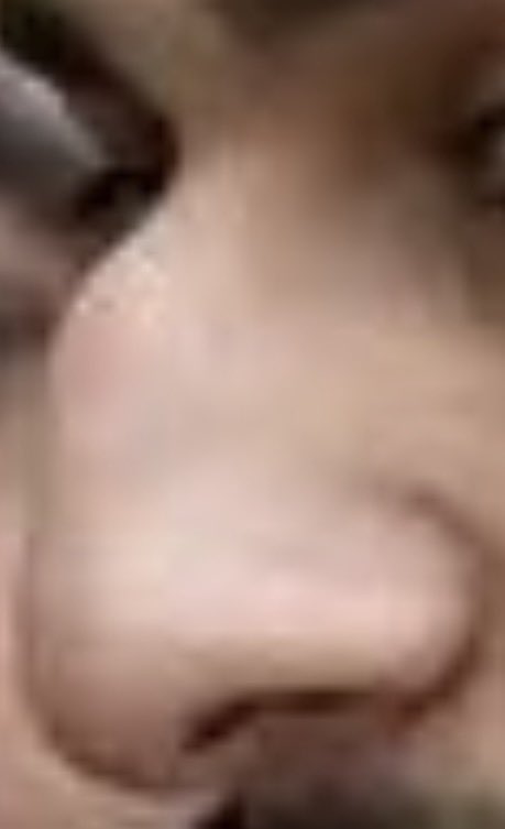 DanP2593's tweet photo. Look at the fucking snoz on this fella. https://t.co/gSjlsvmf8t