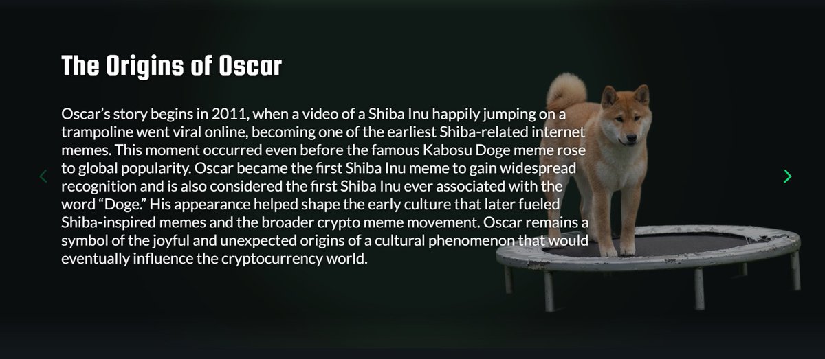 Oscar OG Shiba Inu tweet media