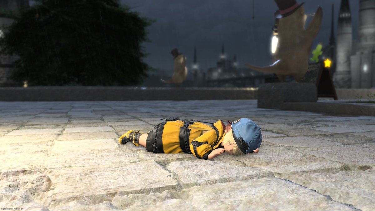 Waka_ffXIV's tweet photo. きりもみも可愛いし、ノーマルなうつぶせ寝はうれしい😆 https://t.co/F42MUg5aSC