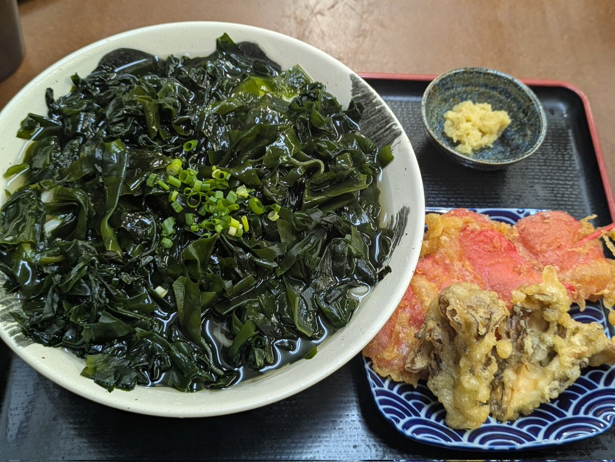 _be_sheep_'s tweet photo. 5/29
讃岐うどん　いわい
わかめたっぷりうどんの冷と紅生姜天と舞茸天とおろし生姜

わかめ沢山すぎる
シャキシャキで磯の香りが美味い
生姜を混ぜても美味い
うどんもわかめも噛むほどに美味い
揚げたての天ぷらももちろん美味い
紅生姜最高だぜ https://t.co/DCHdaml0Yg