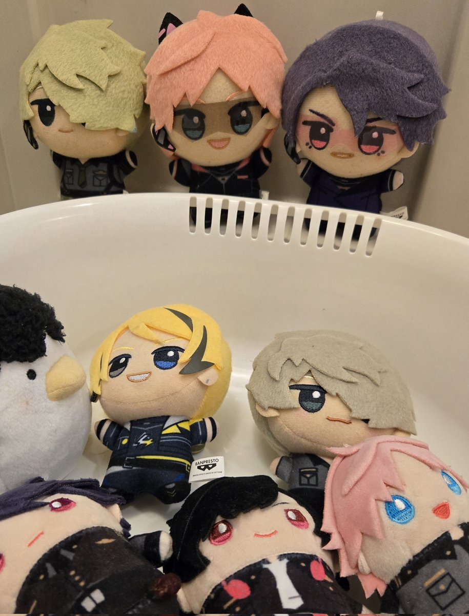 hatomansai's tweet photo. さっぱりしましたぱーと2
約1匹違う世界の子が混ざってますが… https://t.co/FDj8hQvPj1