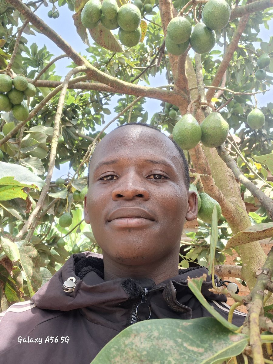 isingiro's finest tweet media